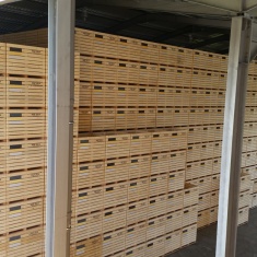 wooden boxes for carots